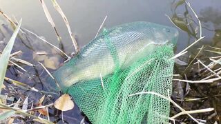 Строгоновка, Симферопольский р-н: рыбалка на мель и у коряг