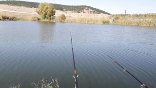 Строгоновка, Симферопольский р-н: рыбалка на мель и у коряг