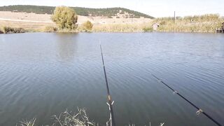 Строгоновка, Симферопольский р-н: рыбалка на мель и у коряг