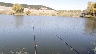 Строгоновка, Симферопольский р-н: рыбалка на мель и у коряг