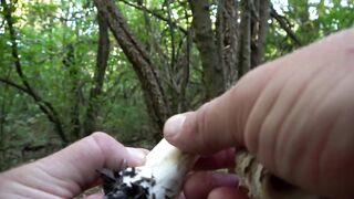 Симферопольское вдхр: береговая рыбалка на ветру и рабочие точки