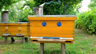 Симферопольское вдхр: береговая рыбалка на ветру и рабочие точки