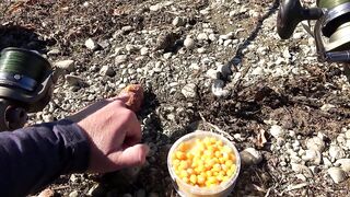 Симферопольское вдхр: береговая рыбалка на ветру и рабочие точки