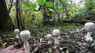 Симферопольское вдхр: береговая рыбалка на ветру и рабочие точки