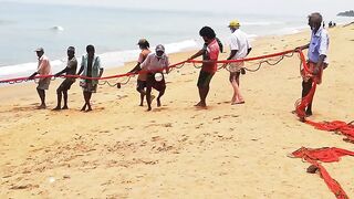 Сильные сети в Suez Canal: рыбалка на течении, безопасно ли?