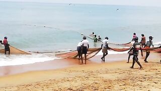 Сильные сети в Suez Canal: рыбалка на течении, безопасно ли?