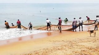 Сильные сети в Suez Canal: рыбалка на течении, безопасно ли?