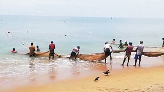 Сильные сети в Suez Canal: рыбалка на течении, безопасно ли?