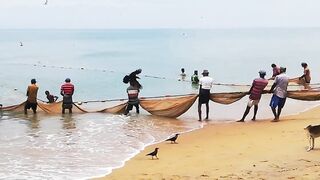 Сильные сети в Suez Canal: рыбалка на течении, безопасно ли?