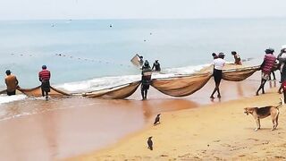 Сильные сети в Suez Canal: рыбалка на течении, безопасно ли?