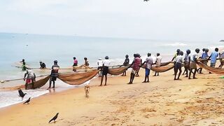 Сильные сети в Suez Canal: рыбалка на течении, безопасно ли?