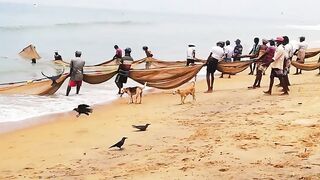 Сильные сети в Suez Canal: рыбалка на течении, безопасно ли?