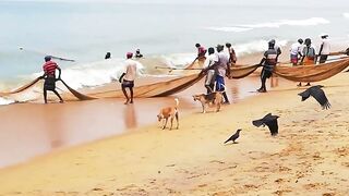 Сильные сети в Suez Canal: рыбалка на течении, безопасно ли?