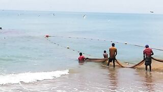 Сильные сети в Suez Canal: рыбалка на течении, безопасно ли?