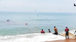 Сильные сети в Suez Canal: рыбалка на течении, безопасно ли?