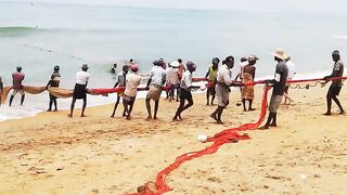 Сильные сети в Suez Canal: рыбалка на течении, безопасно ли?