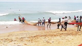 Сильные сети в Suez Canal: рыбалка на течении, безопасно ли?