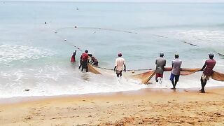 Сильные сети в Suez Canal: рыбалка на течении, безопасно ли?