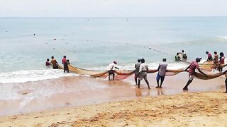 Сильные сети в Suez Canal: рыбалка на течении, безопасно ли?