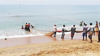 Сильные сети в Suez Canal: рыбалка на течении, безопасно ли?