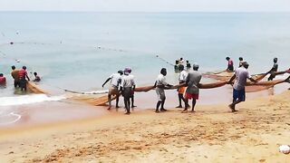 Сильные сети в Suez Canal: рыбалка на течении, безопасно ли?