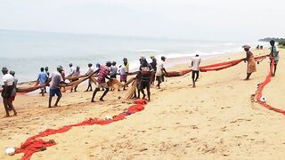 Сильные сети в Suez Canal: рыбалка на течении, безопасно ли?