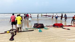 Matara Beach: невероятная сеть и большой улов — как повторить?