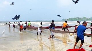 Matara Beach: невероятная сеть и большой улов — как повторить?
