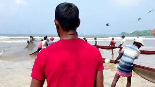 Matara Beach: невероятная сеть и большой улов — как повторить?