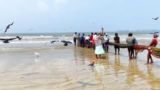 Matara Beach: невероятная сеть и большой улов — как повторить?