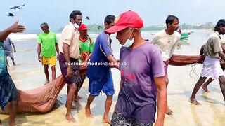 Matara Beach: невероятная сеть и большой улов — как повторить?