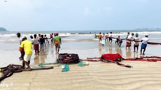 Matara Beach: невероятная сеть и большой улов — как повторить?