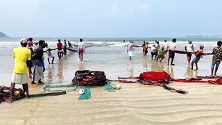 Matara Beach: невероятная сеть и большой улов — как повторить?