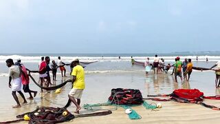 Matara Beach: невероятная сеть и большой улов — как повторить?
