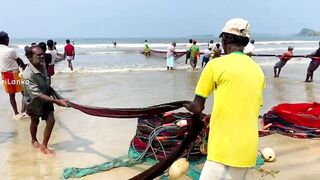 Matara Beach: невероятная сеть и большой улов — как повторить?