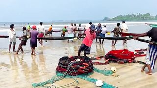 Matara Beach: невероятная сеть и большой улов — как повторить?