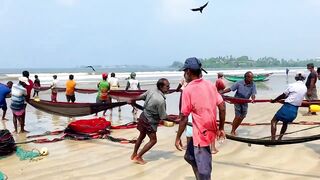 Matara Beach: невероятная сеть и большой улов — как повторить?