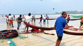 Matara Beach: невероятная сеть и большой улов — как повторить?
