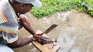 Matara, береговой джиг: морская рыбалка на волне и по песку