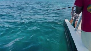 Isla Mujeres, Mexico, рыбалка с Kenny’s: парусник и снорк после выхода