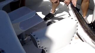 Fishing in Isla Mujeres aboard The Country Girl