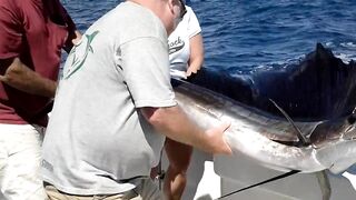 Fishing in Isla Mujeres aboard The Country Girl