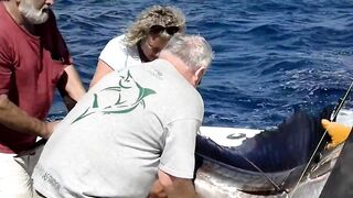 Fishing in Isla Mujeres aboard The Country Girl