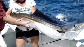 Fishing in Isla Mujeres aboard The Country Girl