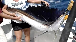 Fishing in Isla Mujeres aboard The Country Girl