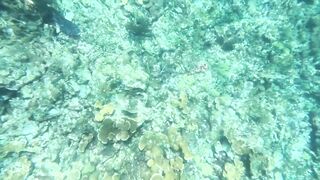 Isla Mujeres, первый снорклинг и встреча с черепахой а рыбалка потом