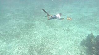 Isla Mujeres, первый снорклинг и встреча с черепахой а рыбалка потом