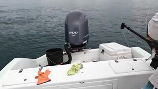 Jaco, Коста-Рика, рыбалка у берега с Someday Travel