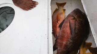 Jaco, Коста-Рика, рыбалка у берега с Someday Travel