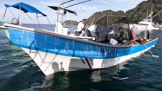 Jaco, Коста-Рика, рыбалка у берега с Someday Travel